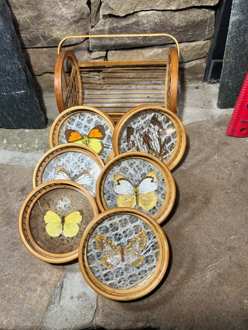 Vintage Bamboo Pressed butterfly/ moth coasters and caddy READ